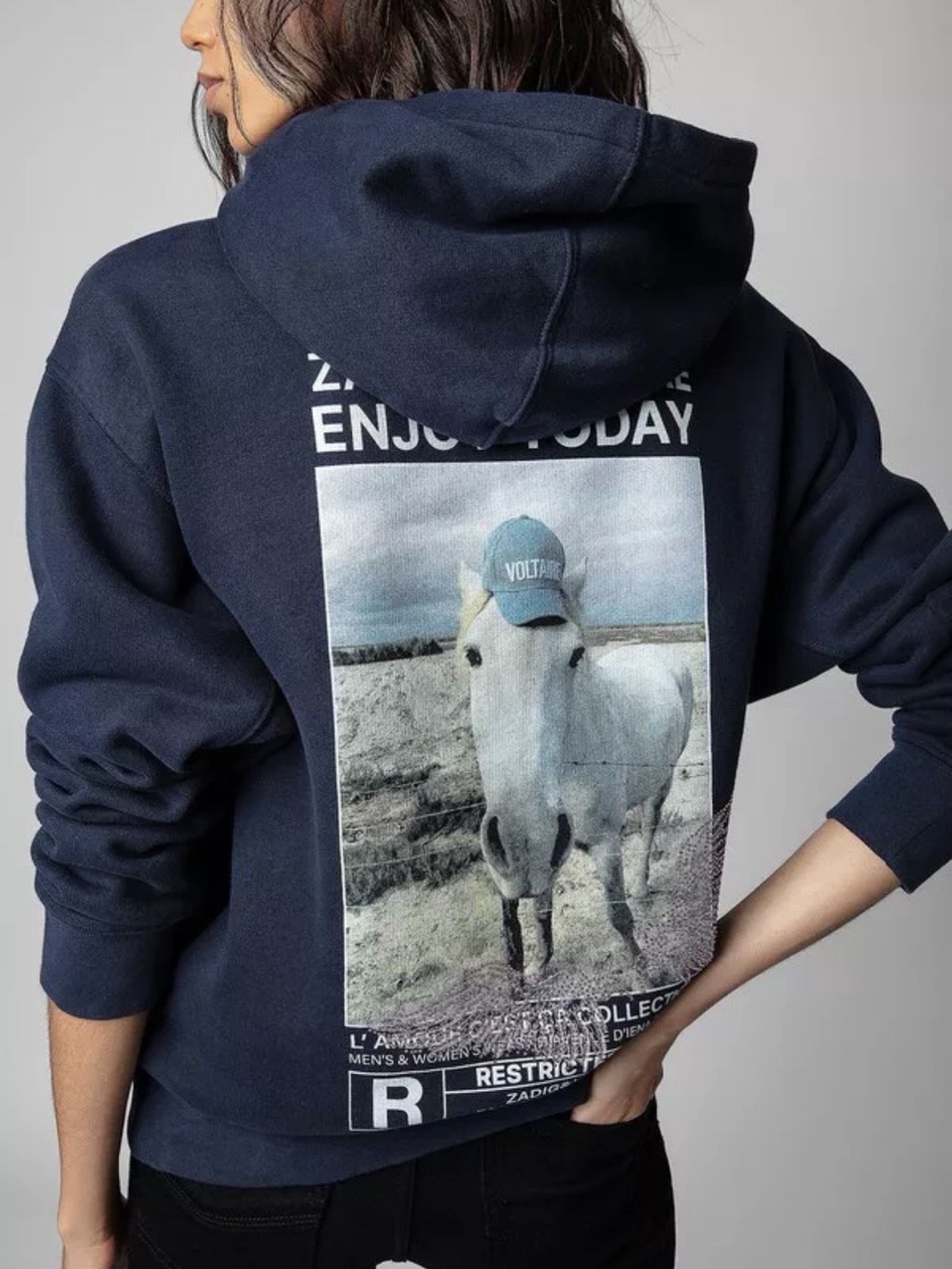 Zadig & Voltaire Spencer Compo Cheval Strass Graphic Hoodie